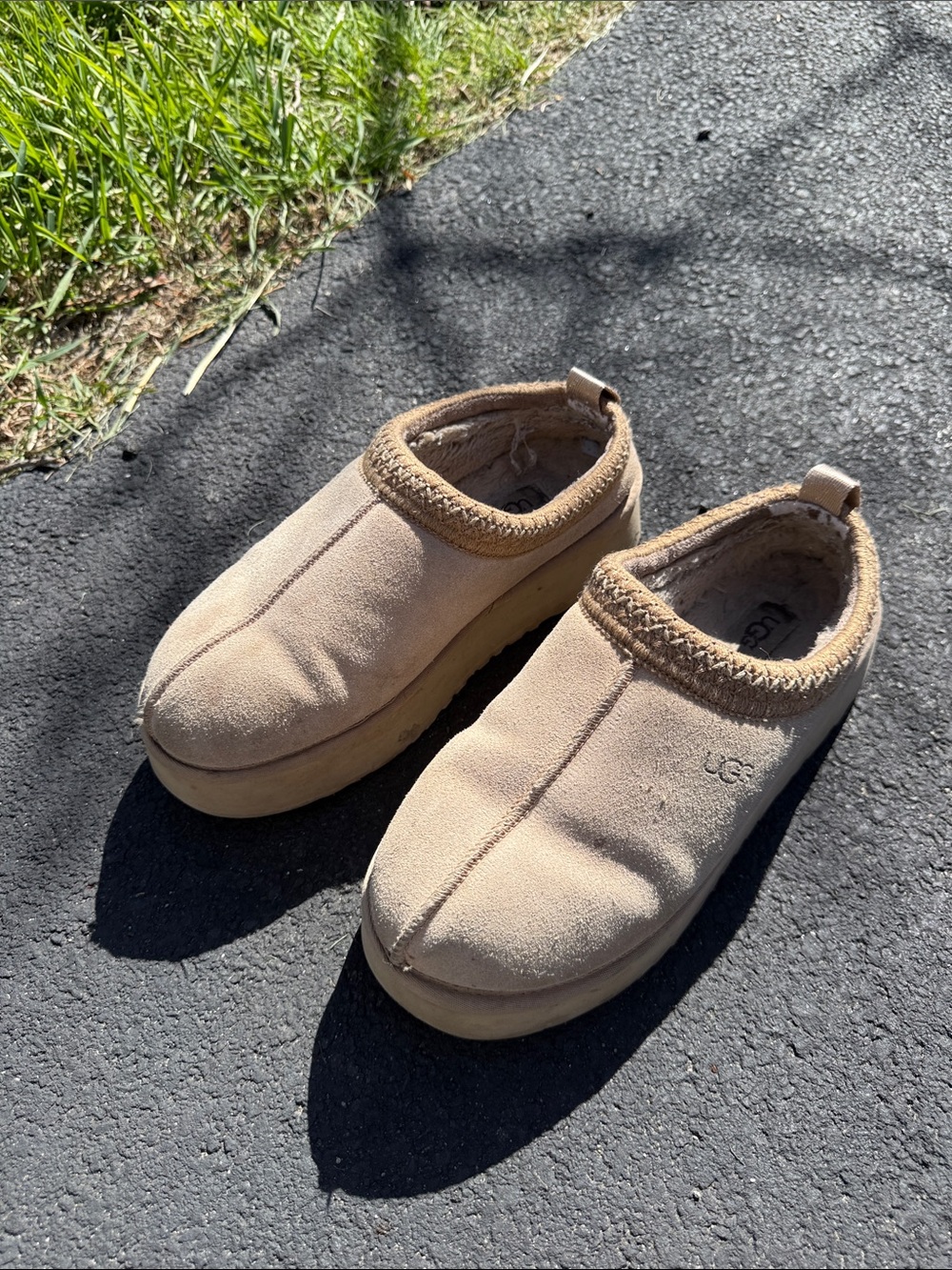 Ugg tasmans